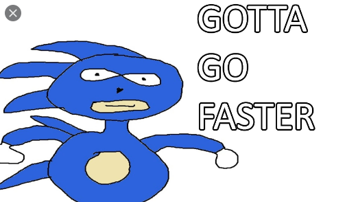 gotta go fest