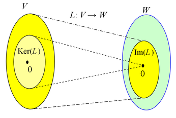 Kernel and image