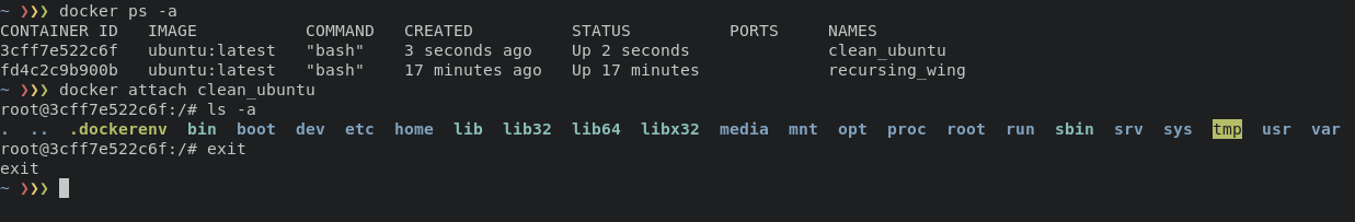 docker_attach