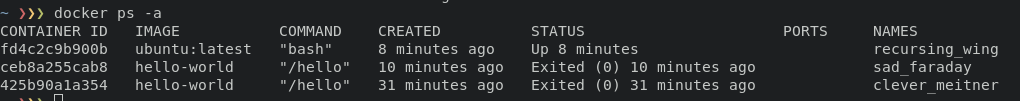 docker_ps_a