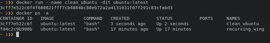 docker_run_name