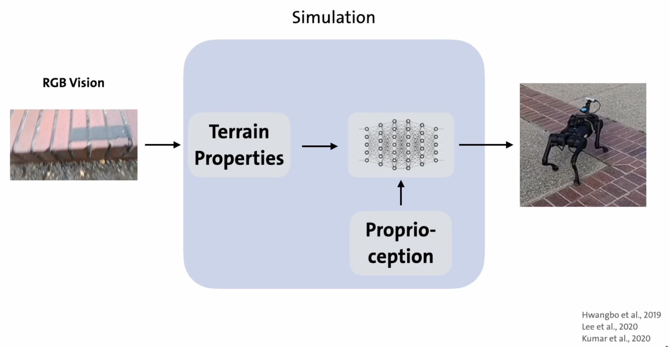 visual locomotion